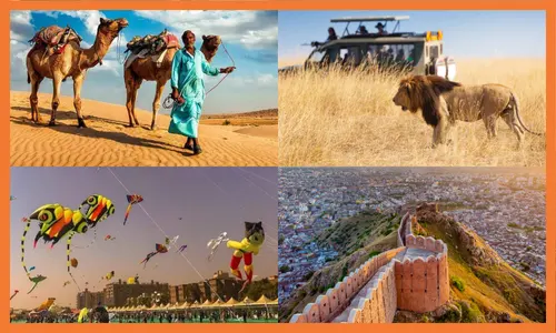 Activities to do in Rajasthan 