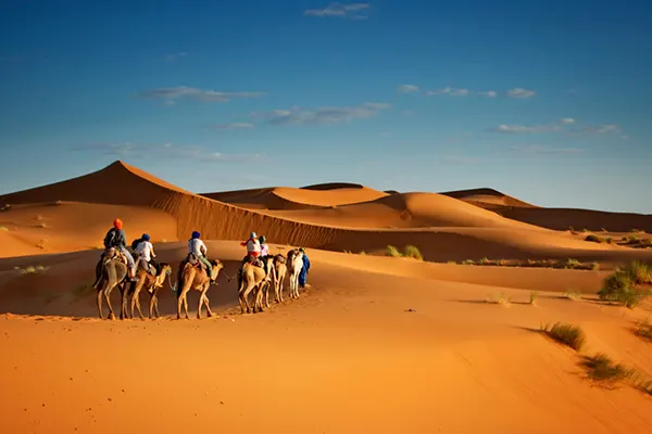 Enjoying Camel Safari in Rajasthan